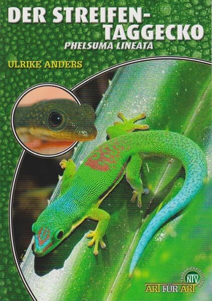 Product Image: Der Streifentaggecko