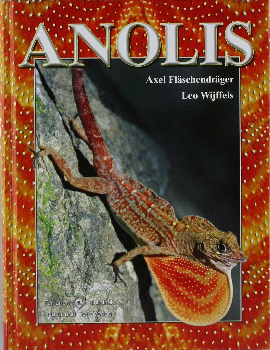 Product Image: Anolis