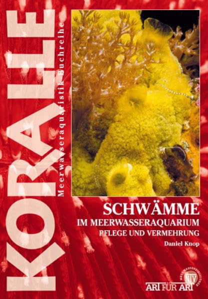 Schwämme im Meerwasseraquarium Pets