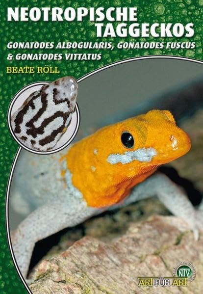 Product Image: Neotropische Taggeckos