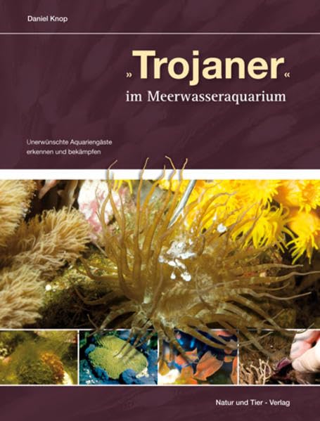 Trojaner im Meerwasseraquarium Pets