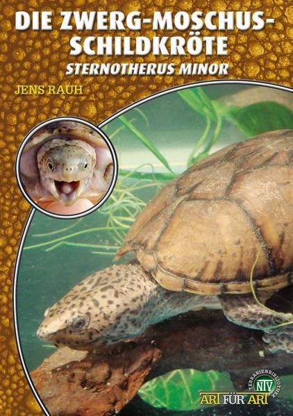 Die Zwerg-Moschus-Schildkröte Pets