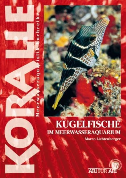 Kugelfische im Meerwasseraquarium: Die Gattungen Arothron, Canthigaster und andere (Buchreihe Art für Art Meerwasser) Pets