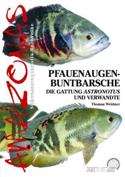 Product Image: Pfauenaugen-Buntbarsche