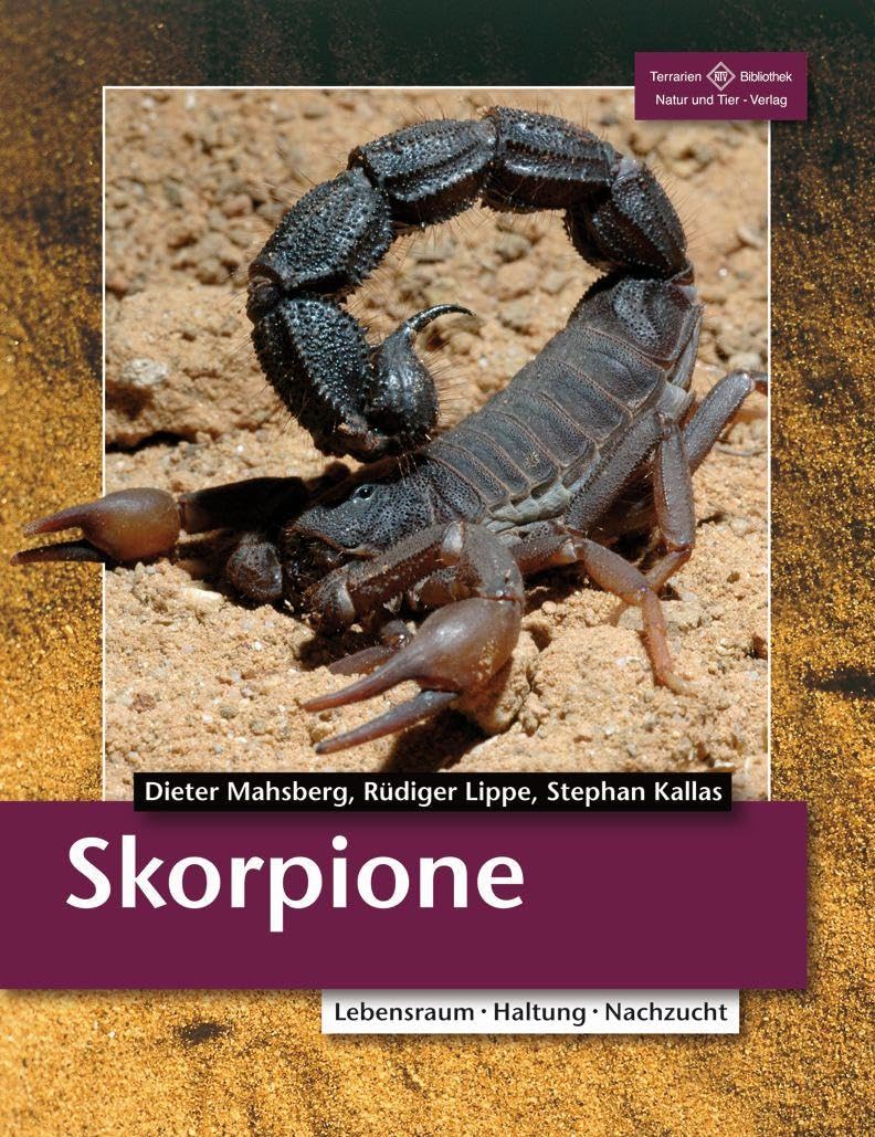 Product Image: Skorpione