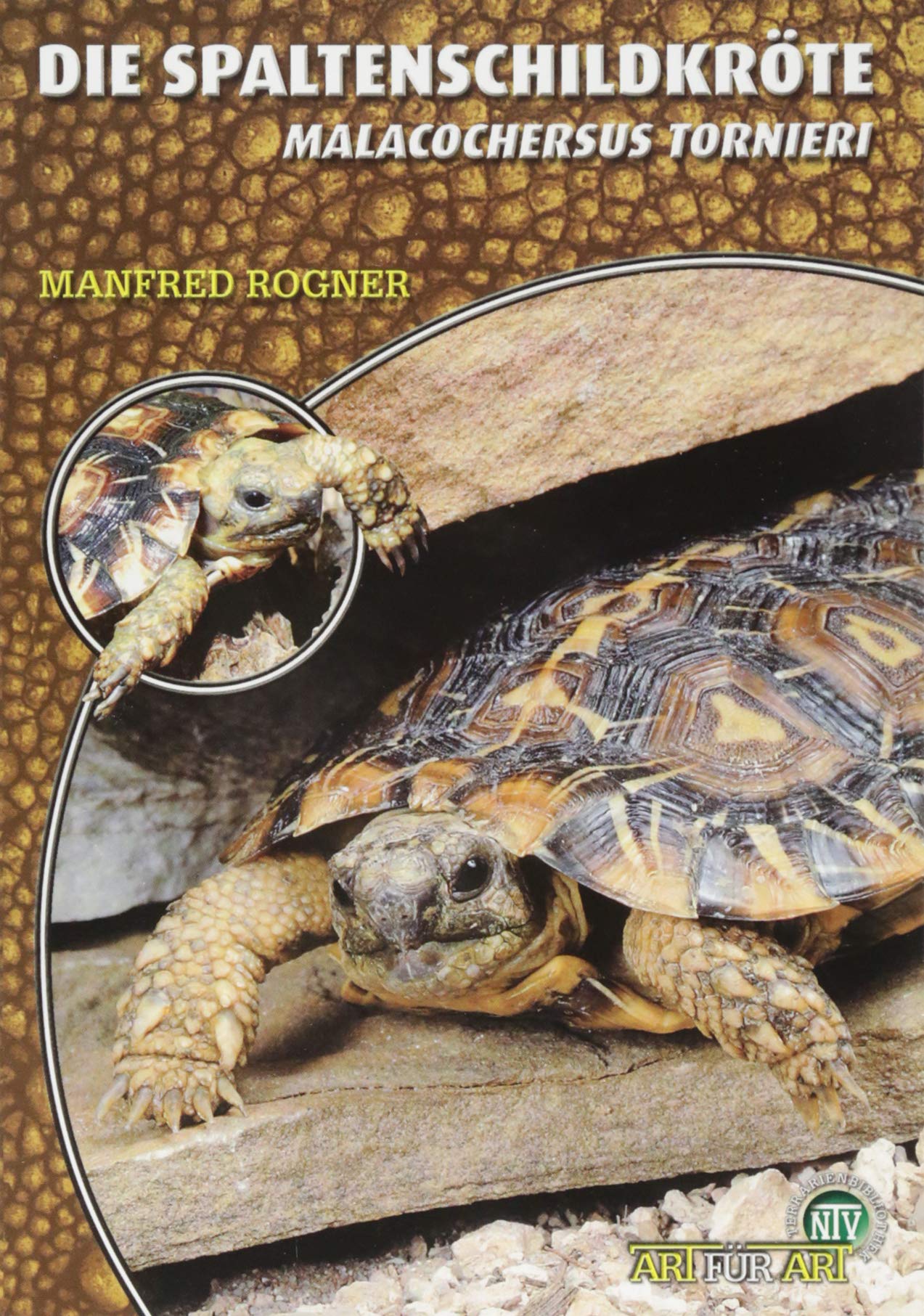 Die Spaltenschildkröte Books about Pets