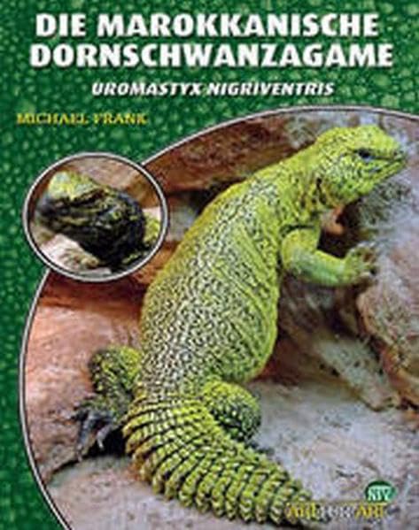 Die Marrokanische Dornschwanzagame: Uromastyx nigriventris book