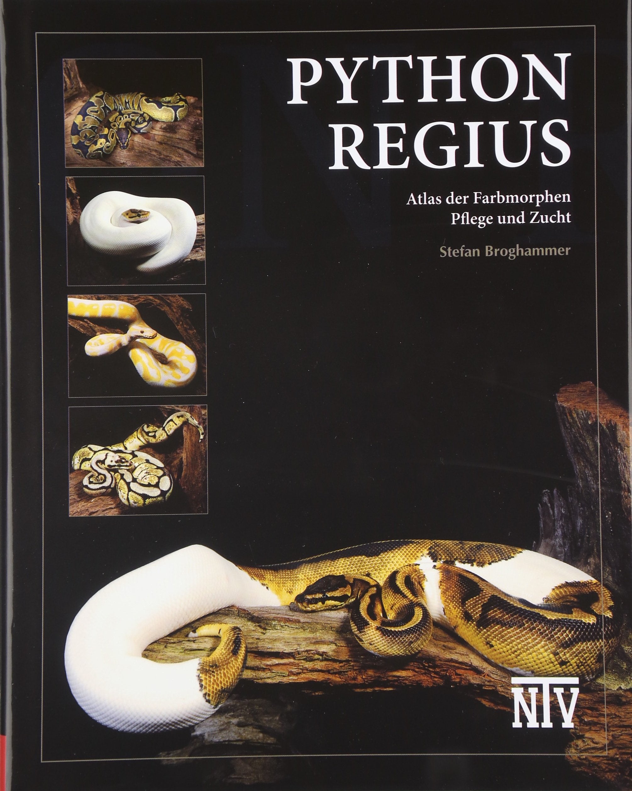 Python regius: Atlas der Farbmorphen Pets