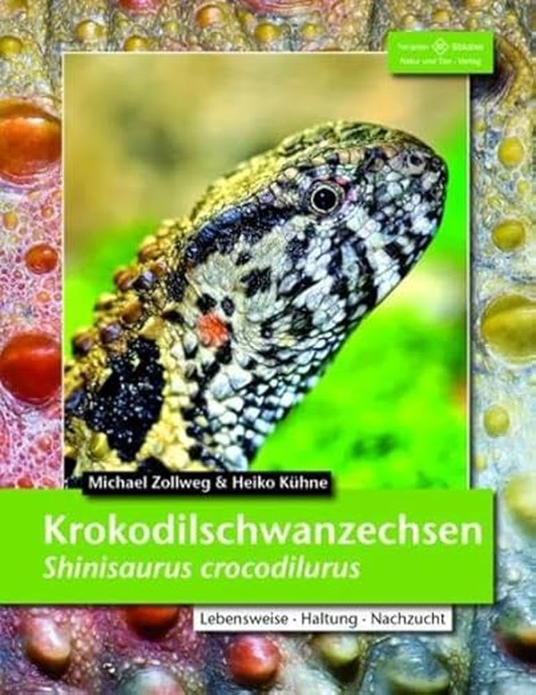 Krokodilschwanzechse Pets