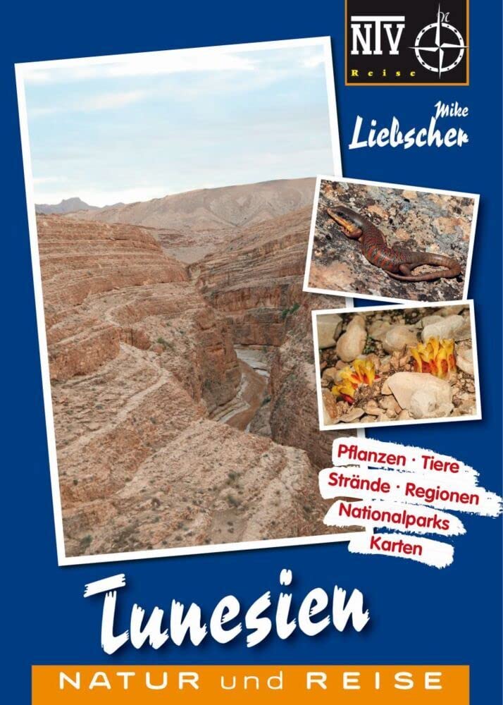 Tunesien Naturreiseführer: Pflanzen, Tiere, Reisepraxis, Regionen, Nationalparks, Strände Leisure, Home & Garden