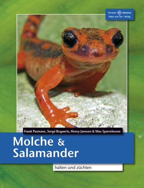 Molche und Salamander halten und züchten: Schwanzlurche (Urodela) (Terrarien-Bibliothek) Pets