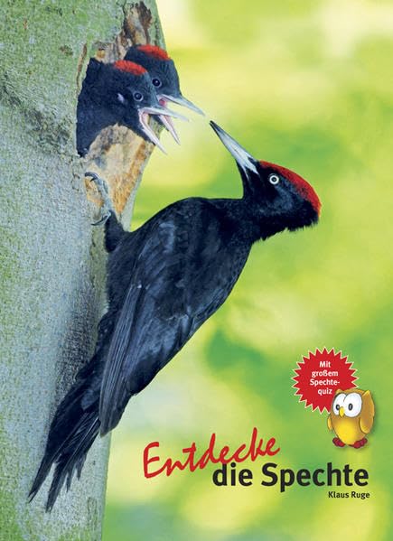 Entdecke den Specht Leisure, Home & Garden