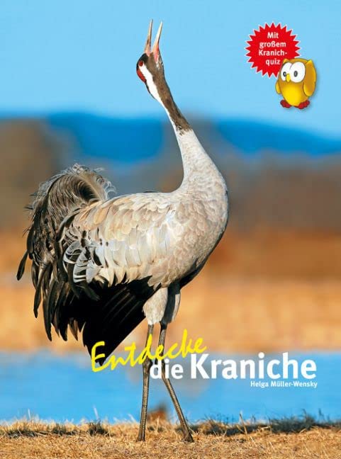 Entdecke die Kraniche: Mit großem Kranichquiz (Entdecke - Die Reihe mit der Eule: Kindersachbuchreihe) Leisure, Home & Garden