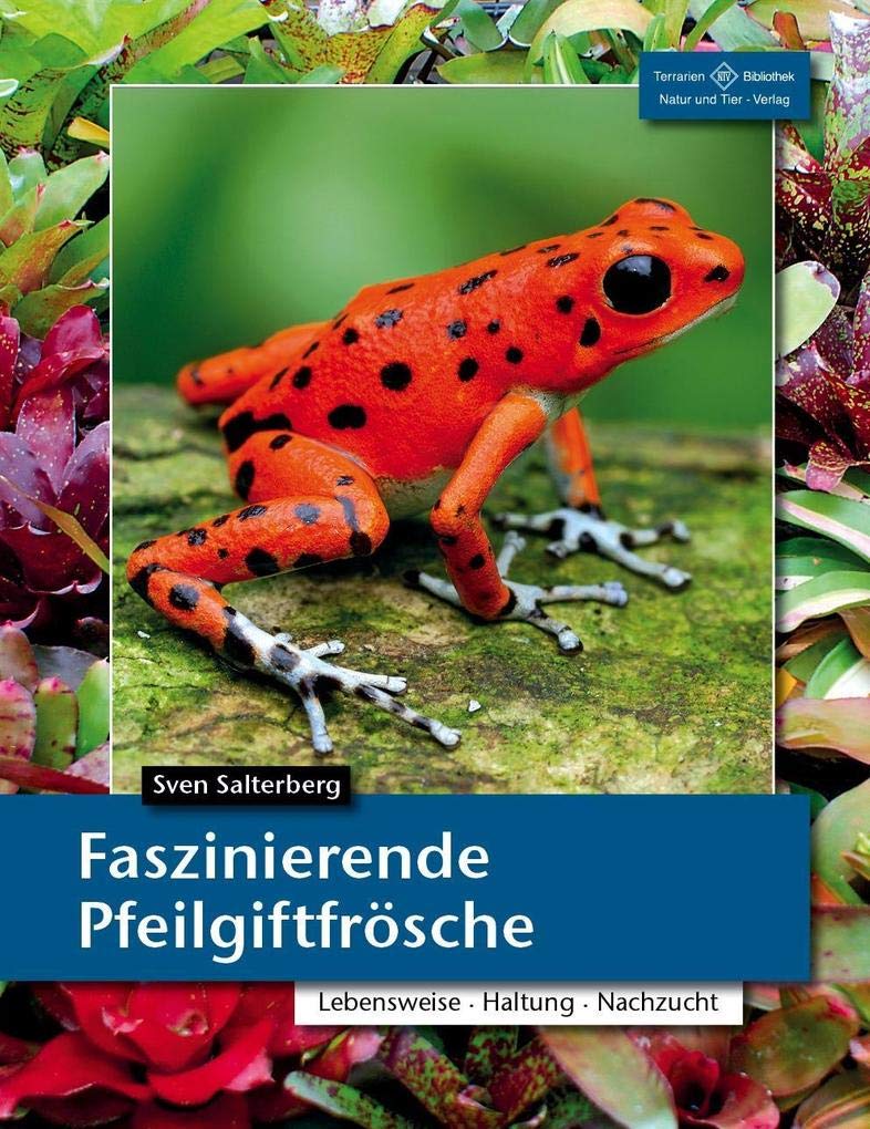 Faszinierende Pfeilgiftfrösche Pets