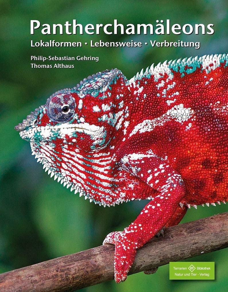 Product Image: Pantherchamäleons