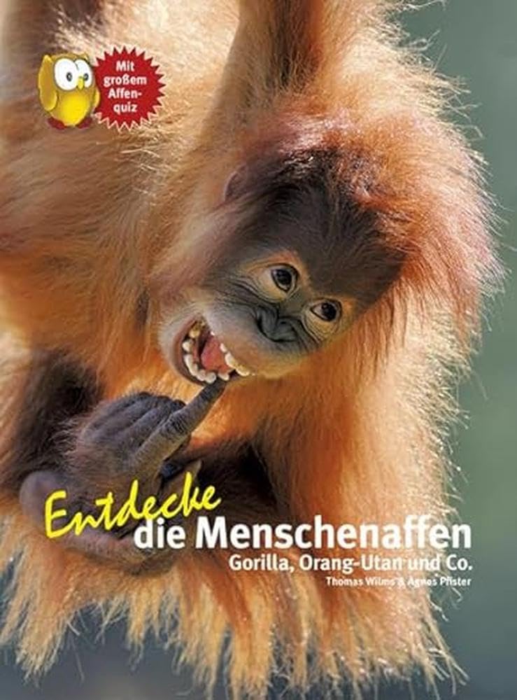 Entdecke die Menschenaffen Leisure, Home & Garden