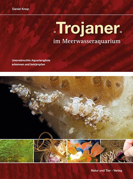 Trojaner im Meerwasseraquarium Pets