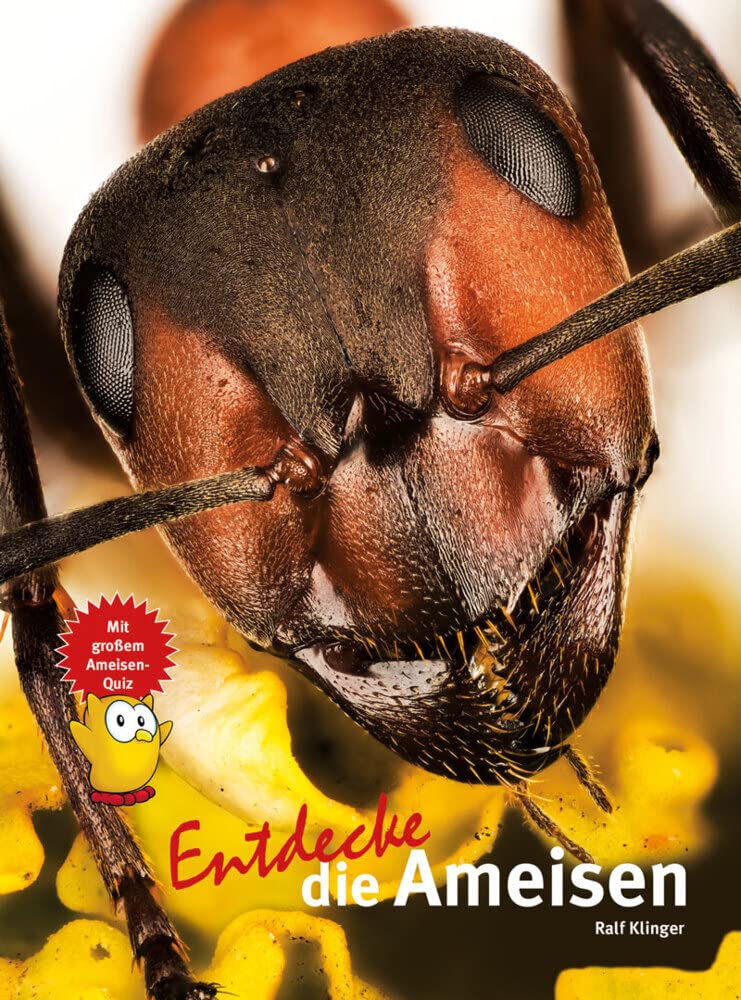Product Image: Entdecke die Ameisen