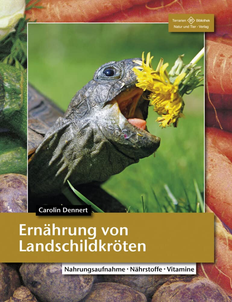 Ernährung von Landschildkröten Pets
