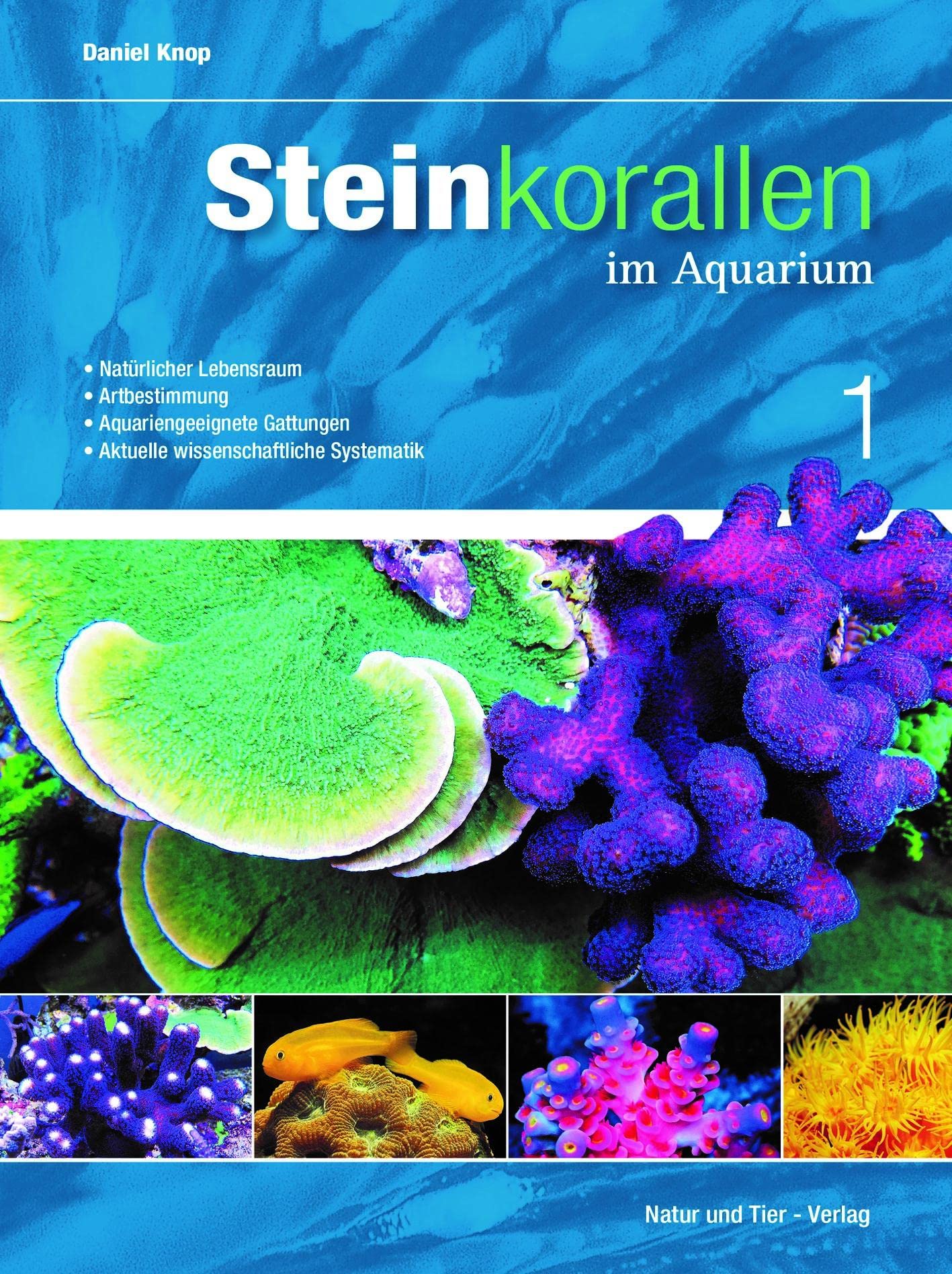 Steinkorallen im Aquarium - Band 1 Pets