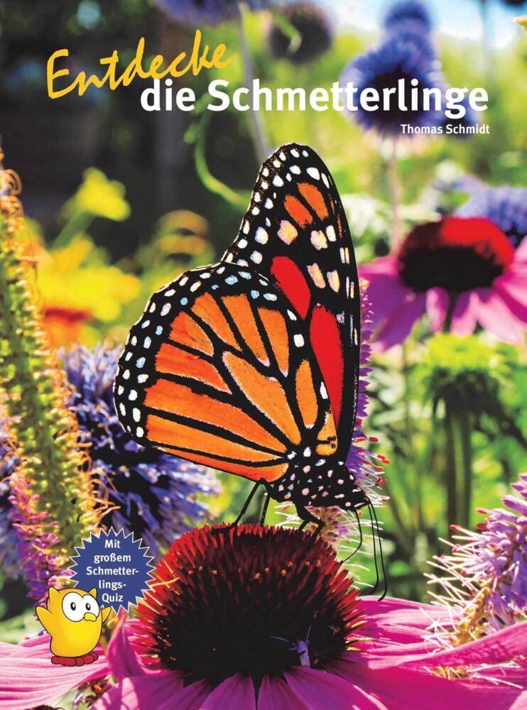 Entdecke die Schmetterlinge (Entdecke - Die Reihe mit der Eule: Kindersachbuchreihe) Leisure, Home & Garden