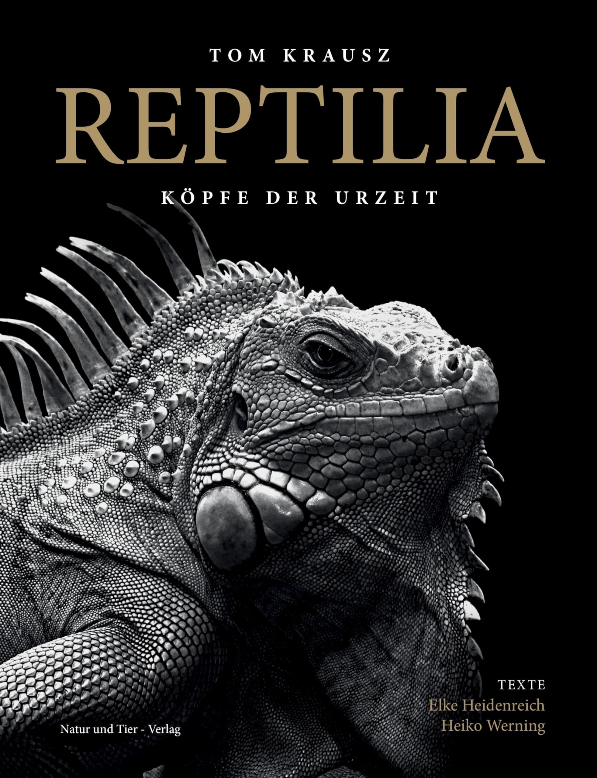 Product Image: REPTILIA