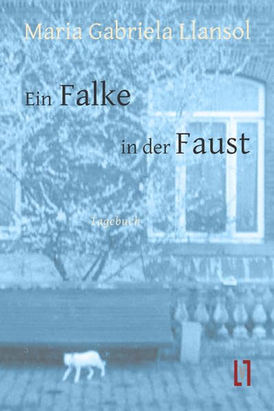 Ein Falke in der Faust: Tagebuch. Aus dem Portugiesischen von Ilse Pollack und Markus Sahr Contemporary literature