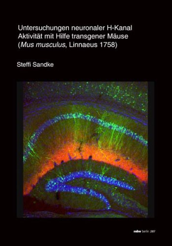 Untersuchungen neuronaler H-Kanal Aktivität mit Hilfe transgener Mäuse (Mus musculus, Linnaeus 1758) Medicine