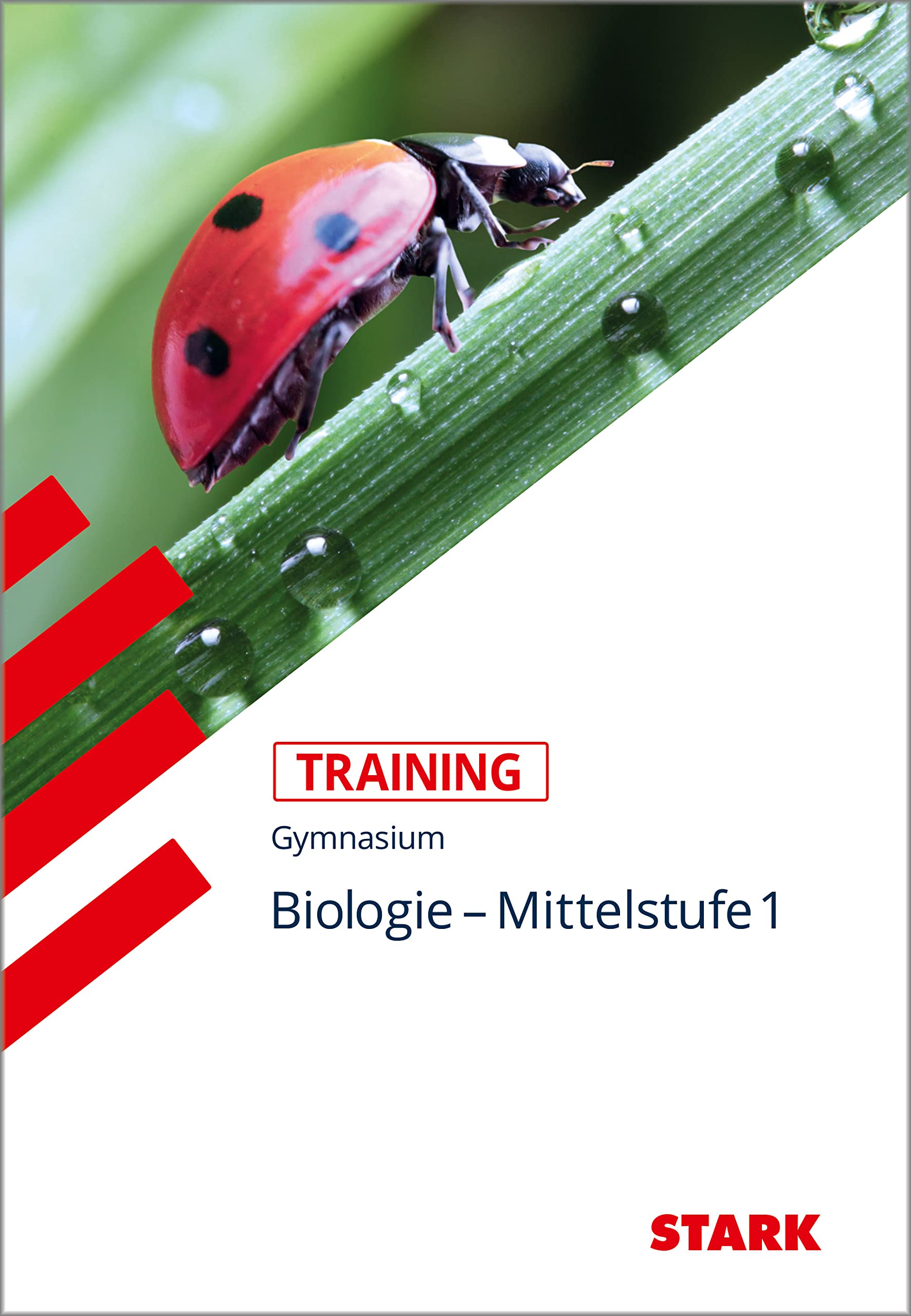 Biologie Mittelstufe 1: Training Biologie Study Guides