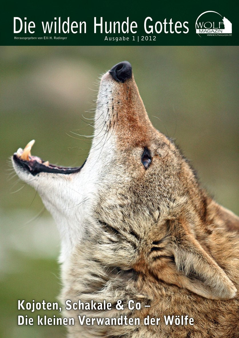 Wolf Magazin: Die wilden Hunde Gottes: Kojote, Schakal & Co - Die kleinen Verwandten der Wölfe (edition tieger) General education