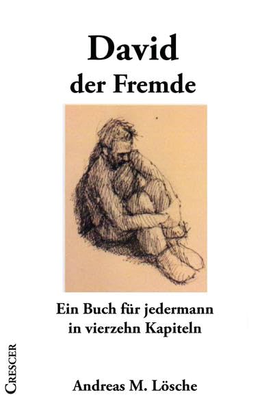 David - der Fremde: Ein Buch für jedermann in vierzehn Kapiteln Contemporary literature