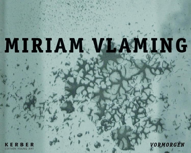 Miriam Vlaming: Vormorgen (Edition Young Art) Film, Art & Culture