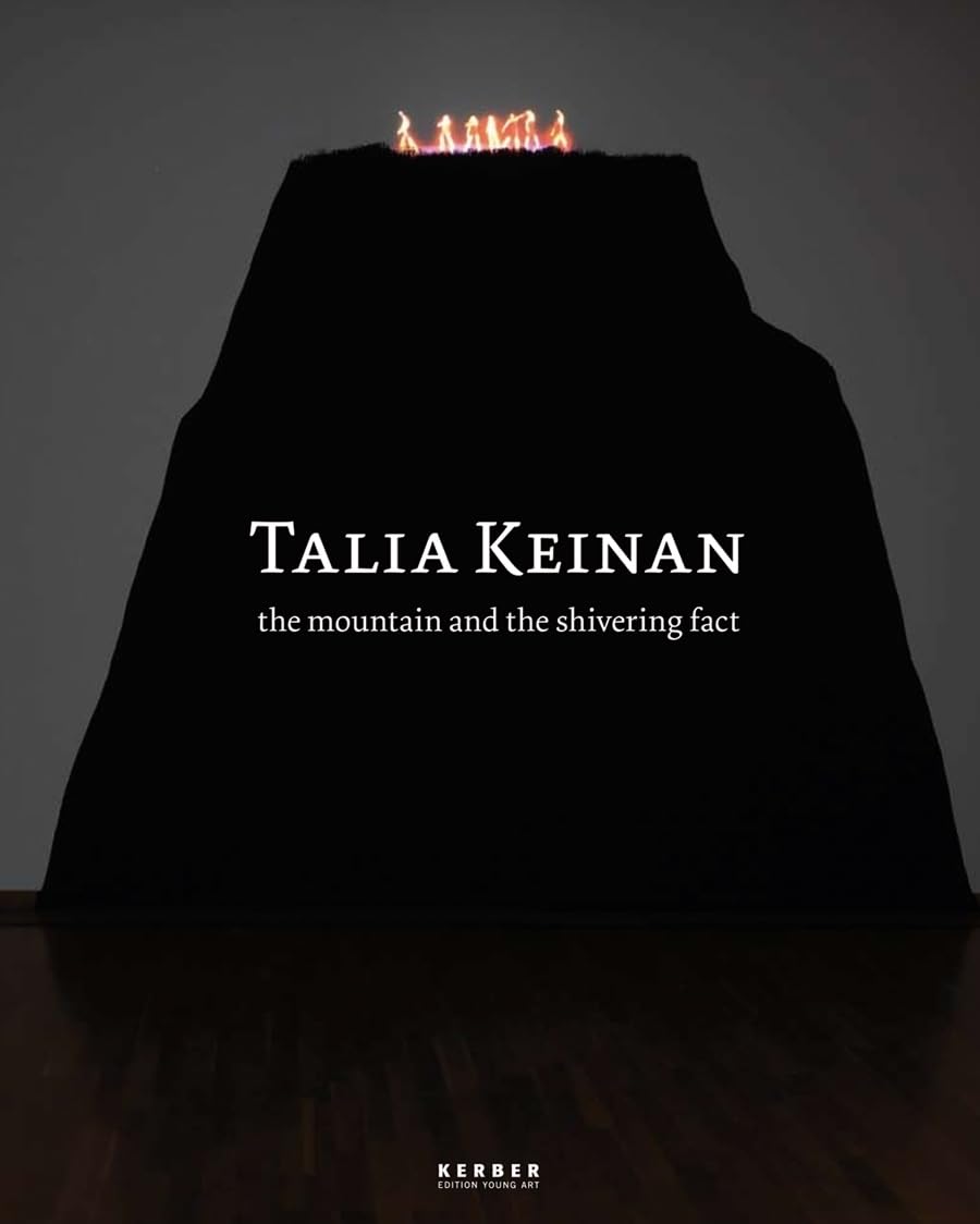 Talia Keinan: The mountain and the shivering fact (Edition Young Art) Film, Art & Culture