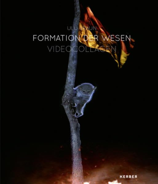 Ulu Braun. Formation der Wesen: Videocollagen Film, Art & Culture