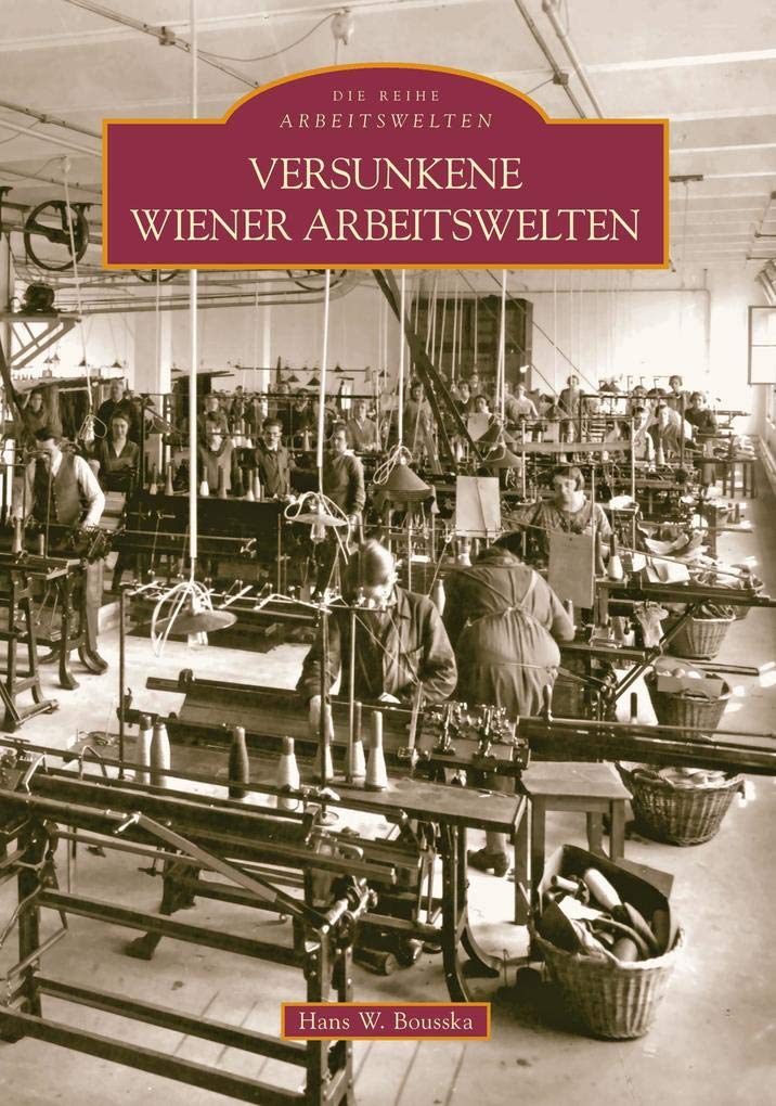 Versunkene Wiener Arbeitswelten Politics & Society
