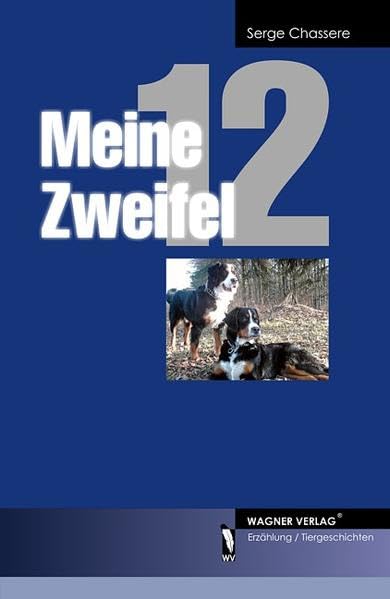 Meine 12 Zweifel Historical Fiction