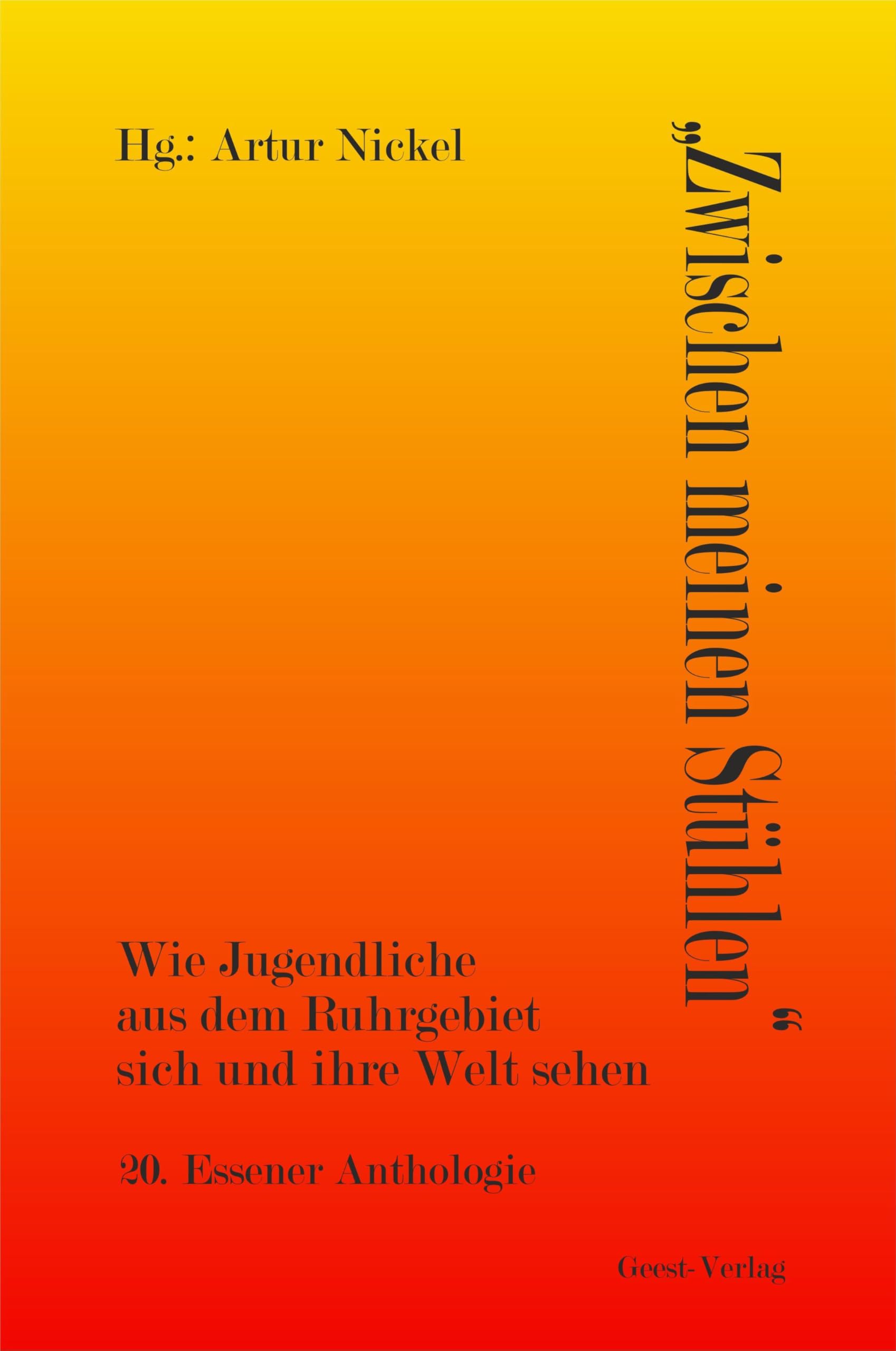 Zwischen meinen Stühlen: Wie Jugendliche aus dem Ruhrgebiet sich und ihre Welt sehen Contemporary literature Books