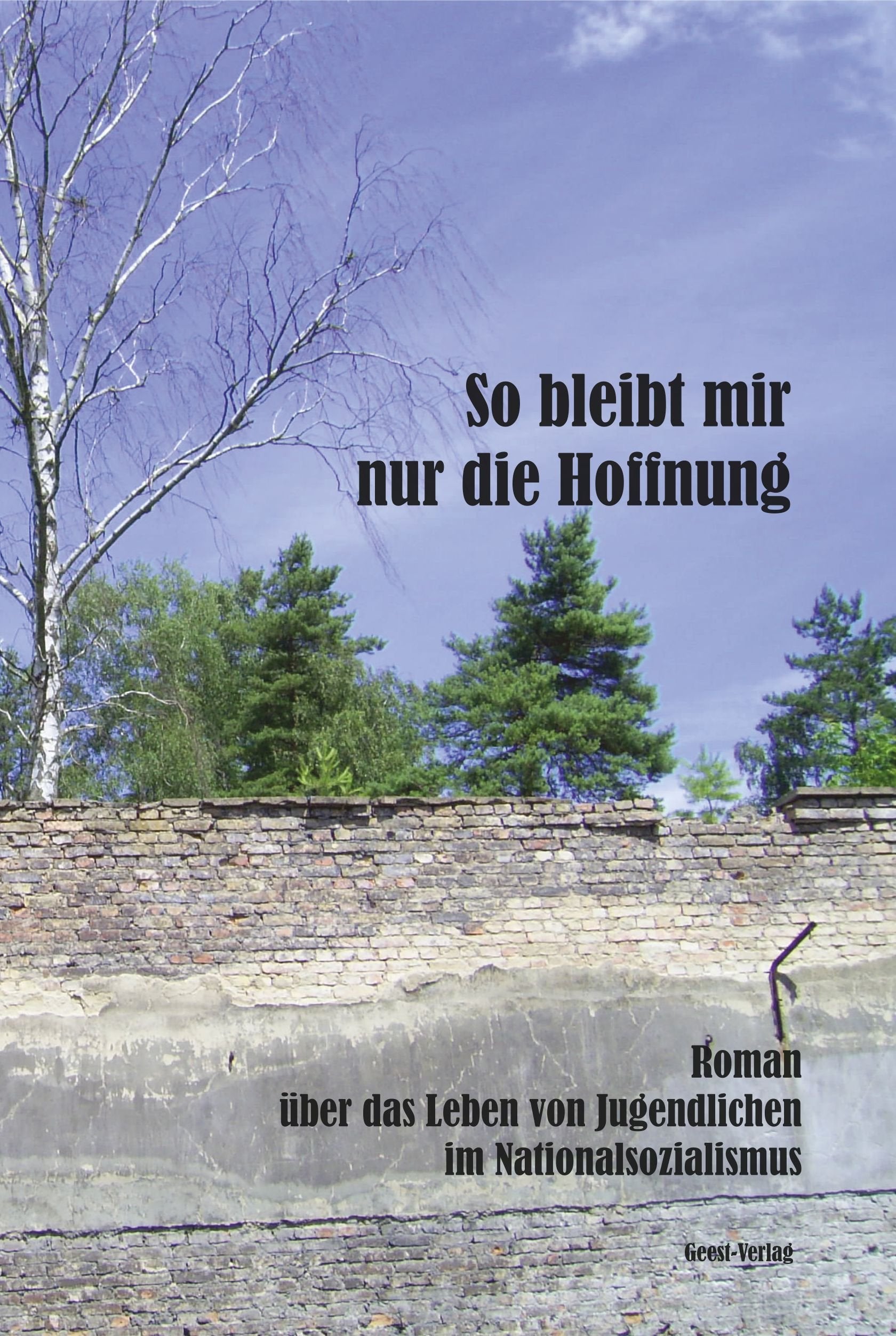 So bleibt mir nur die Hoffnung: Roman über das Leben von Jugendlichen im Nationalsozialismus Historical Fiction