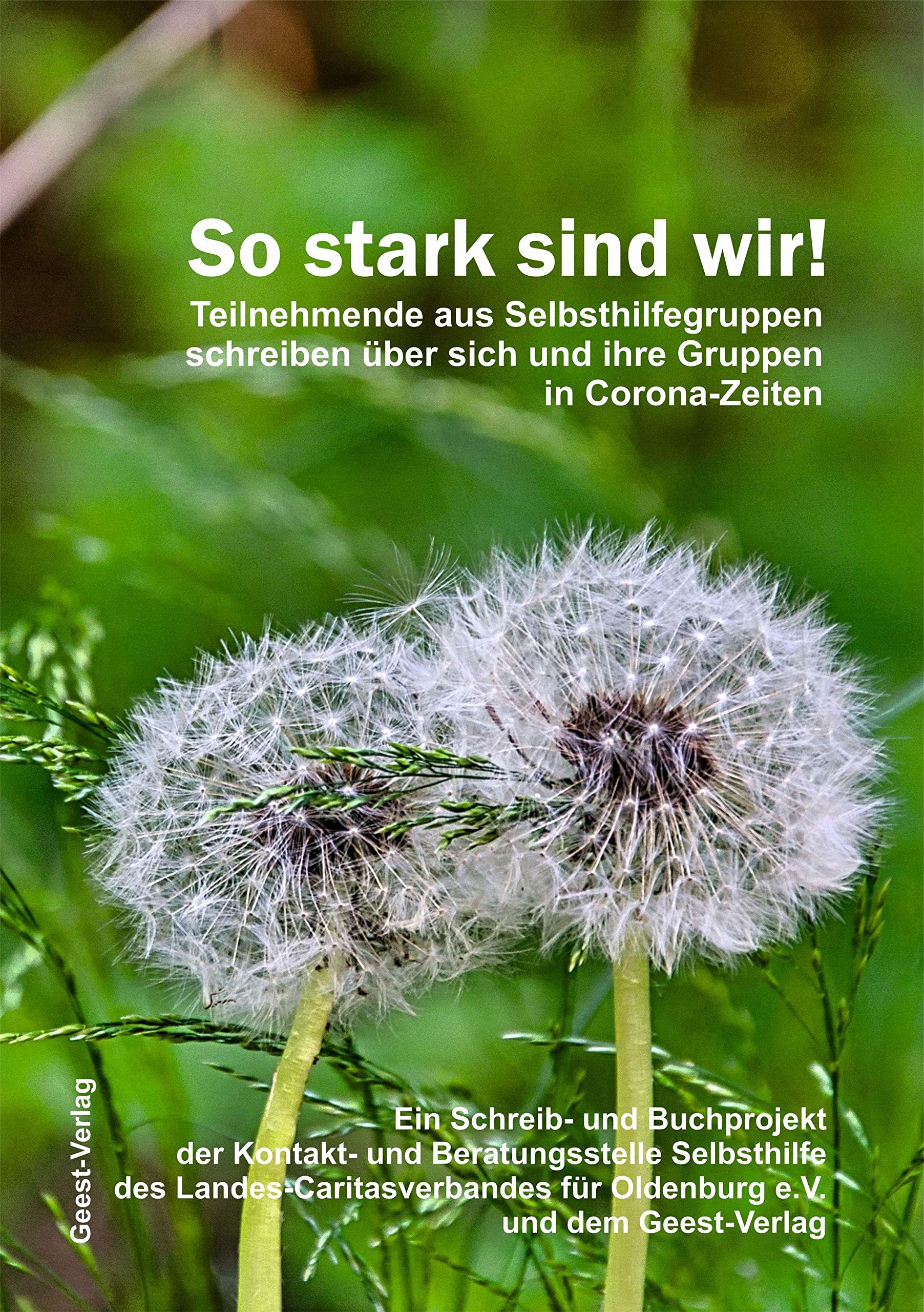 So stark sind wir! Contemporary literature