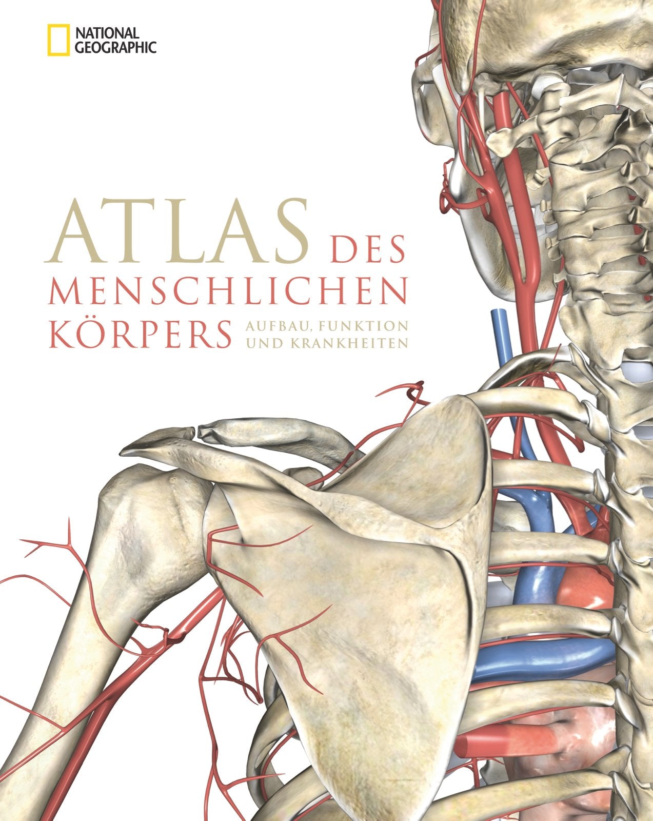 Atlas des menschlichen Körpers: Aufbau, Funktion und Krankheiten General education