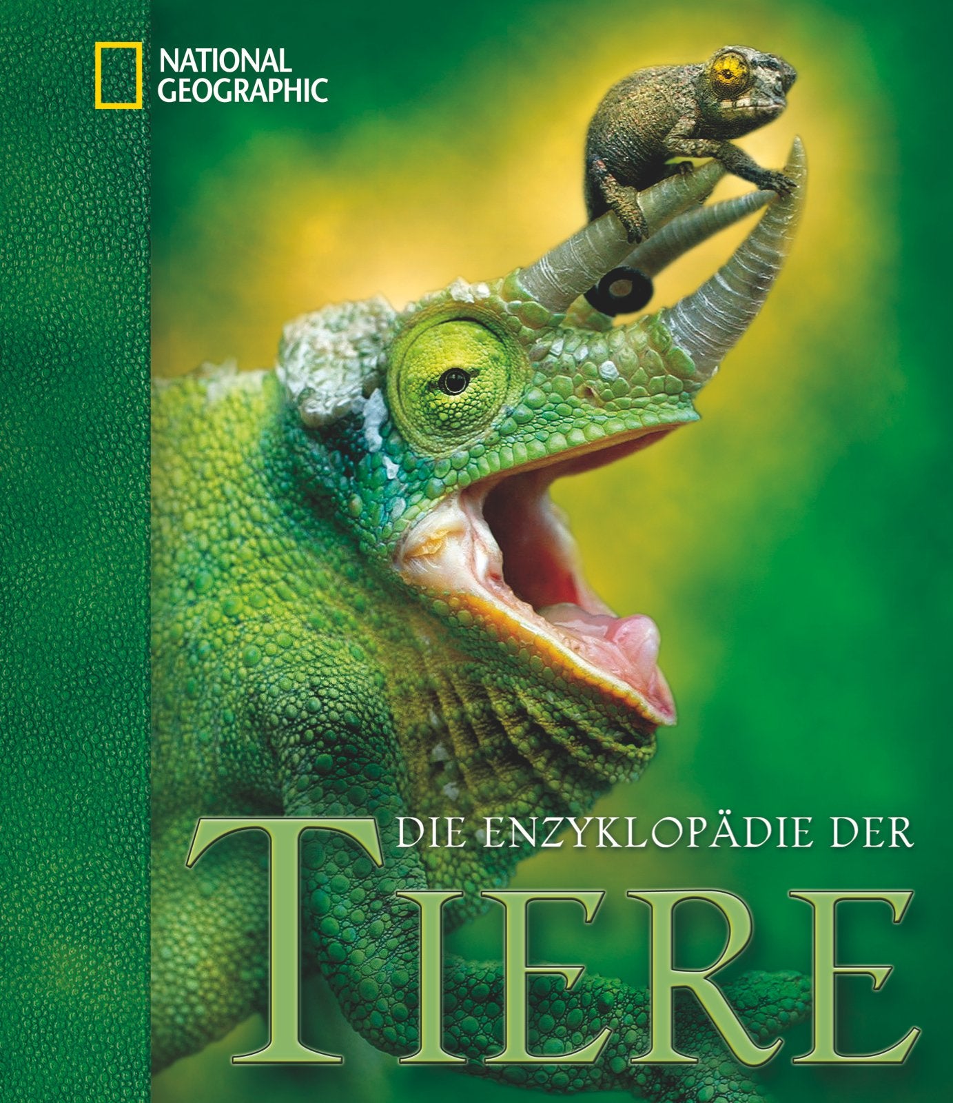 Die Enzyklopädie der Tiere Film, Art & Culture