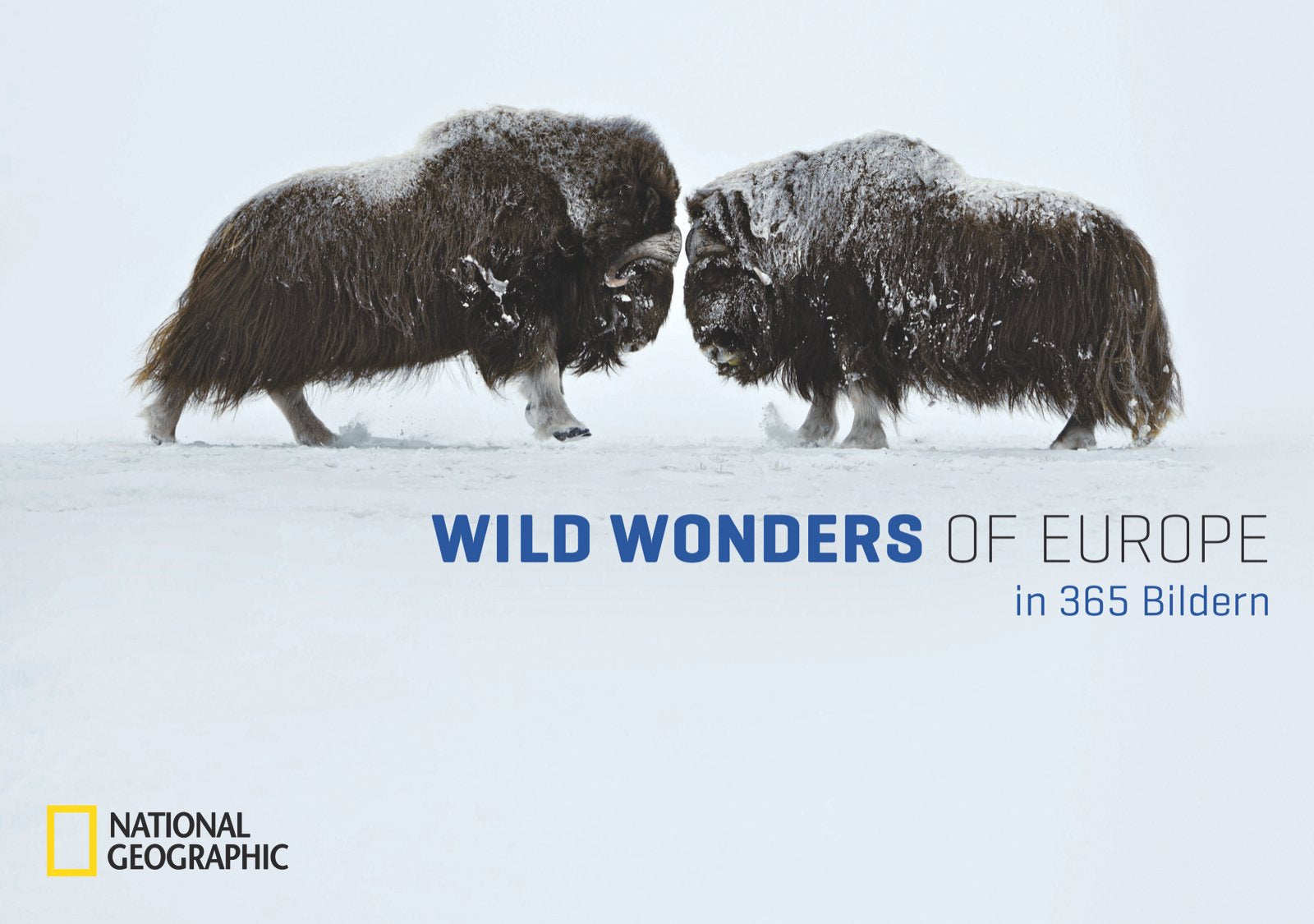 Wild Wonders of Europe in 365 Bildern: Tischkalender m. immerwährendem Tages-Kalendarium Photography