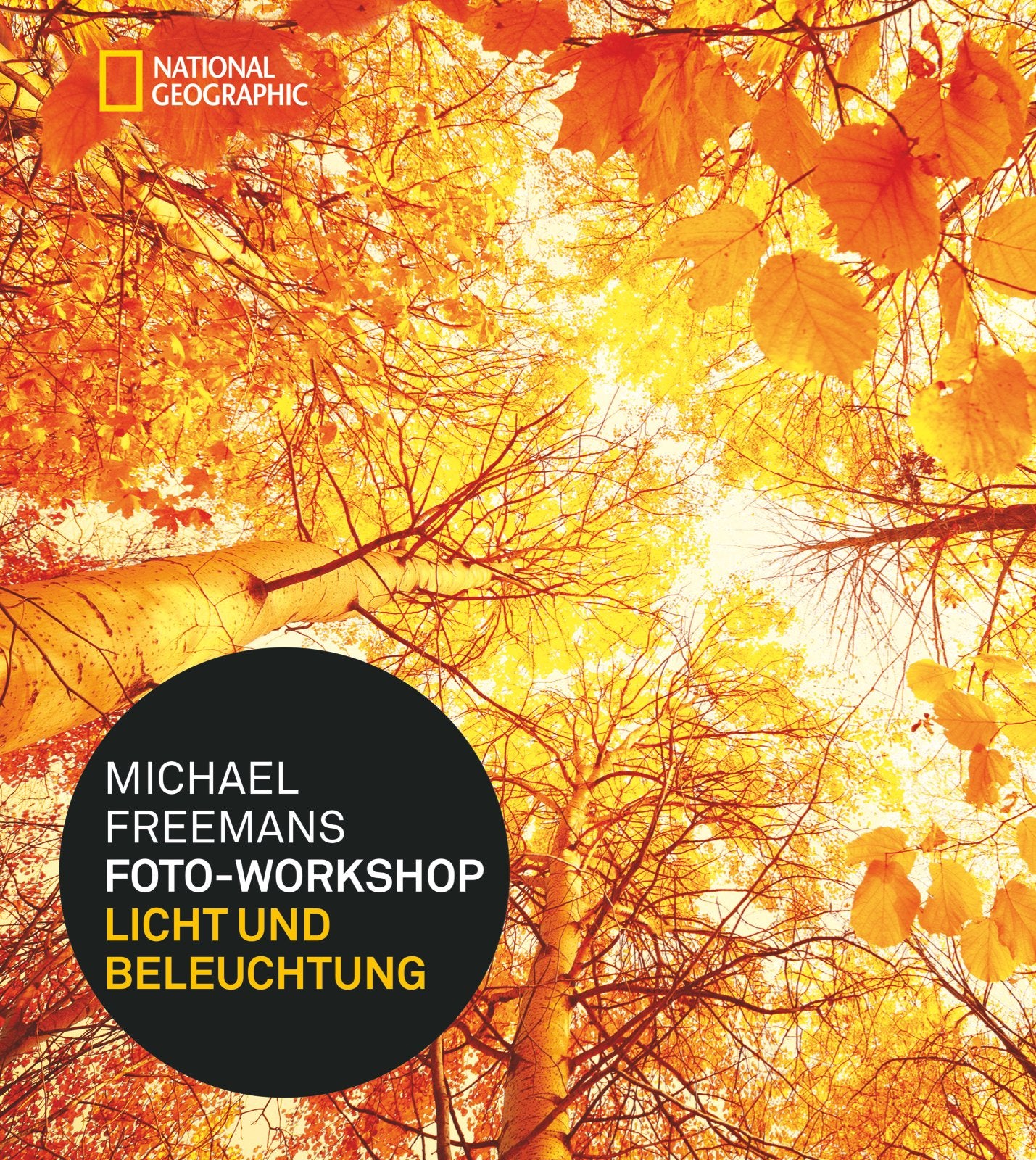 Michael Freemans Foto-Workshop Licht und Beleuchtung Photography