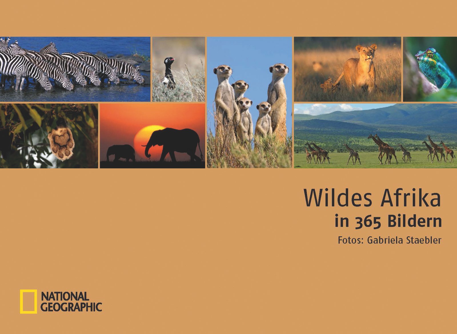 Wildes Afrika in 365 Bildern Photography