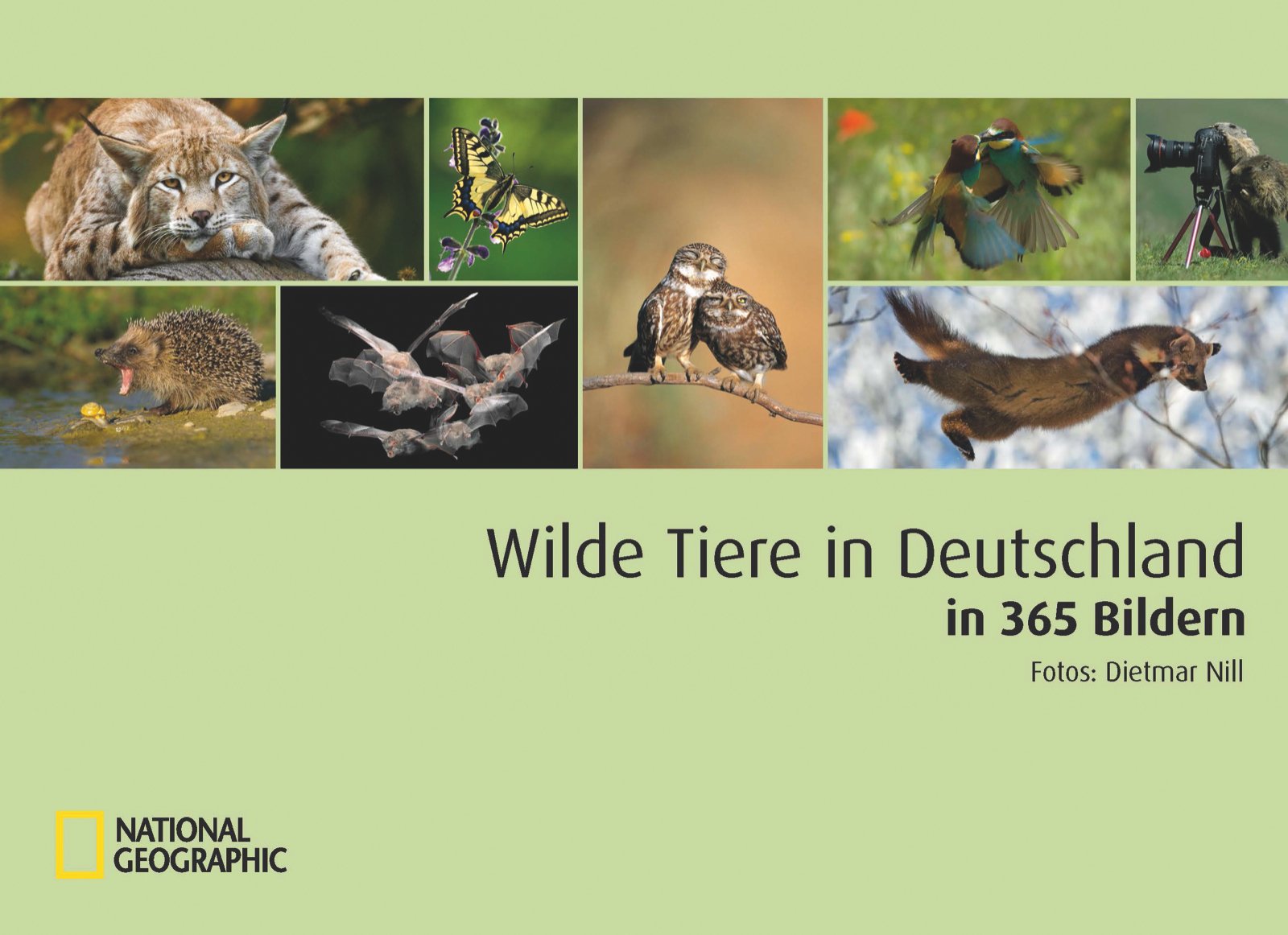 Wilde Tiere in Deutschland in 365 Bildern Photography