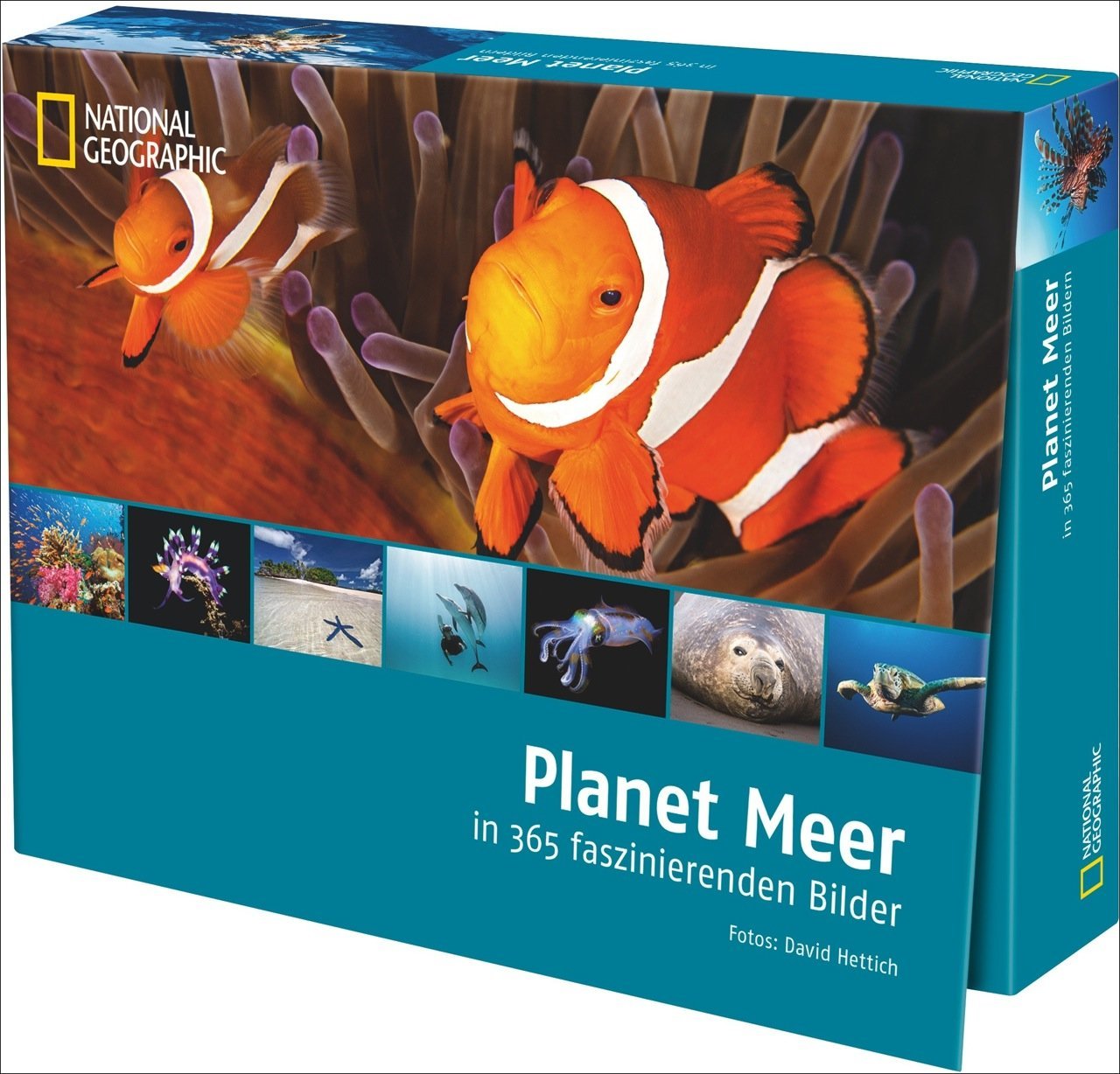 Planet Meer in 365 faszinierenden Bildern Garden & Plants