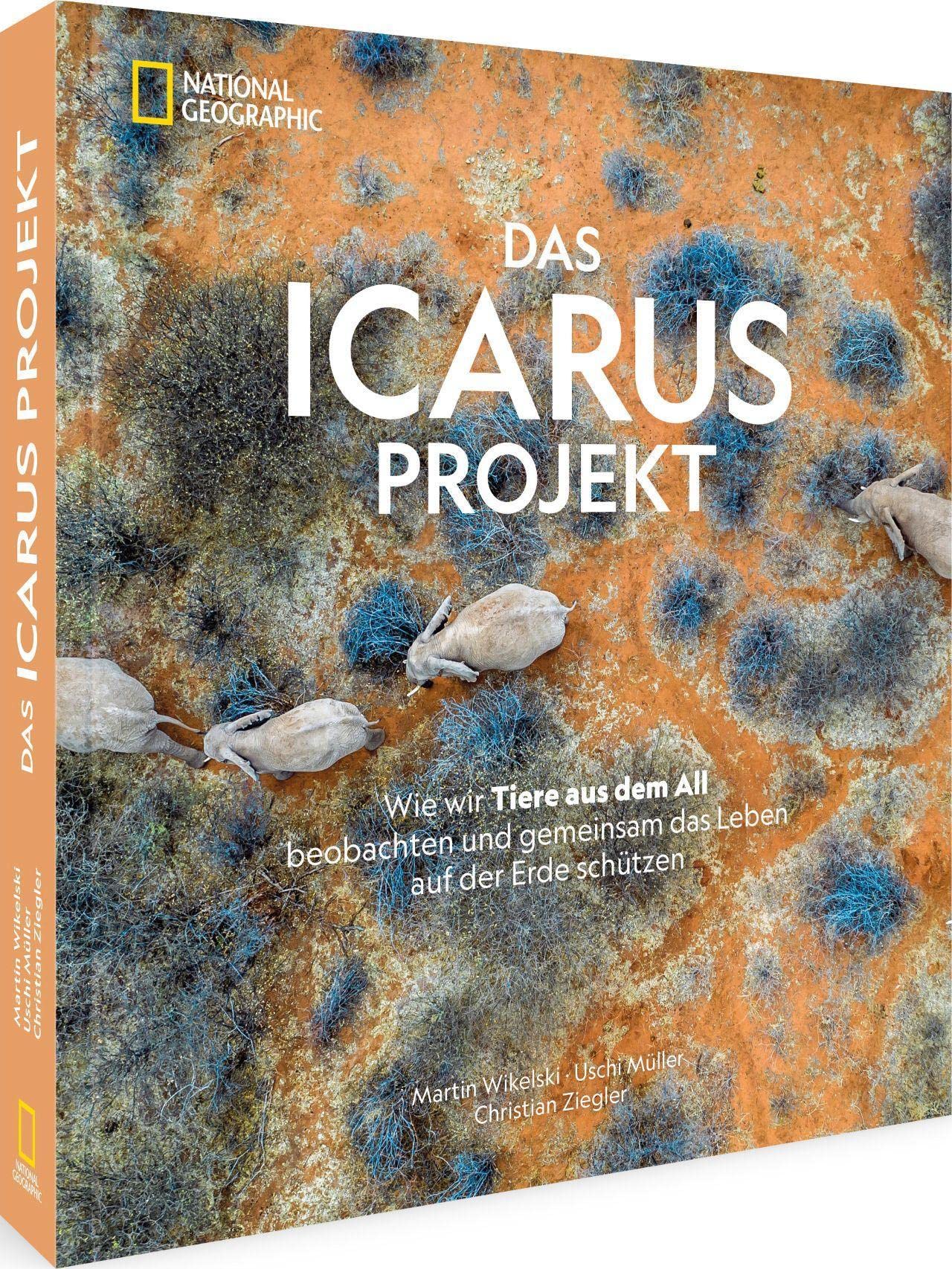 Das ICARUS Projekt Mathematics