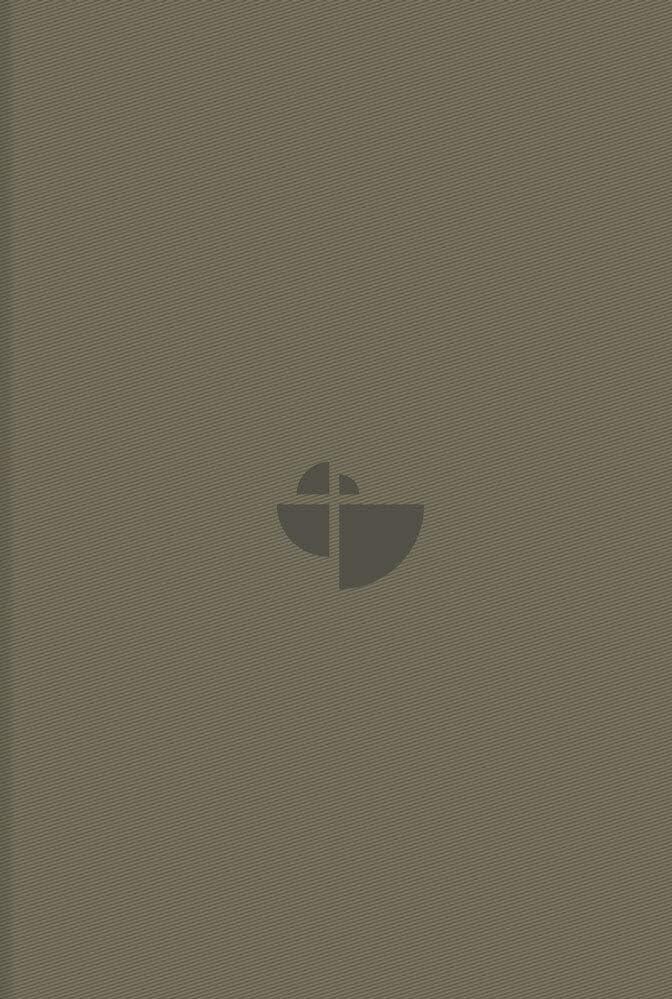 Schlachter 2000 Bibel - Taschenausgabe (PU-Einband, sandfarben, blauer Farbschnitt) Religion & Esotericism