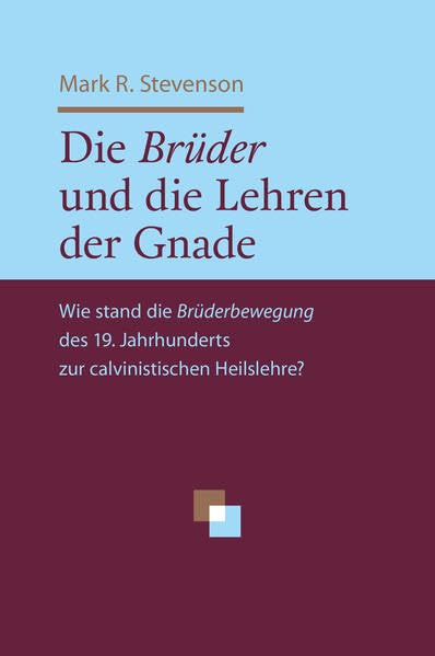 Die Brüder und die Lehren der Gnade: Wie stand die Brüderbewegung des 19. Jahrhunderts zur calvinistischen Heilslehre? Religion & Esotericism