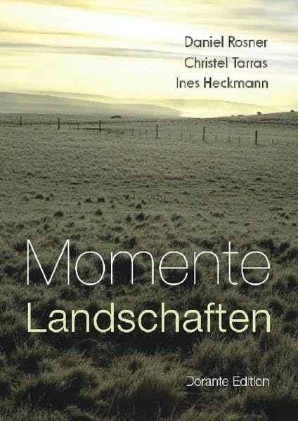 Momente & Landschaften: Kurzprosa und Gedichte Contemporary literature